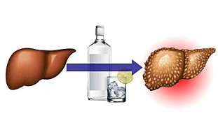 os efectos do alcol no fígado