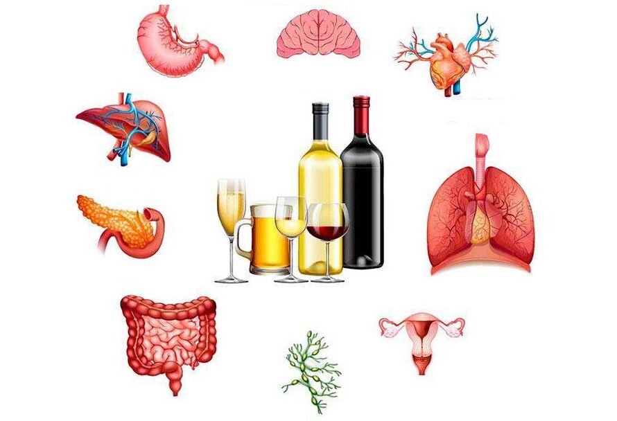 o efecto do alcohol no corpo